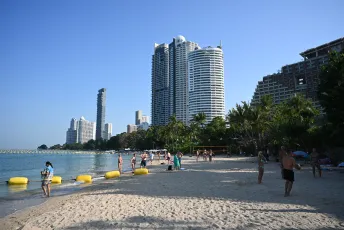 DFC_4518: Sun-soaked city beach with high-rise skyline, palm trees, and people enjoying a calm day by the water.