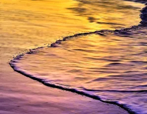 Surf Tongue in Sri Lanka