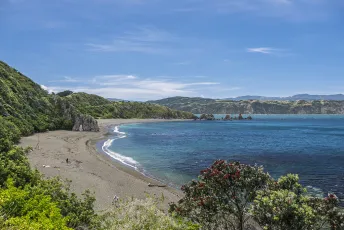Wellington - Breaker Bay