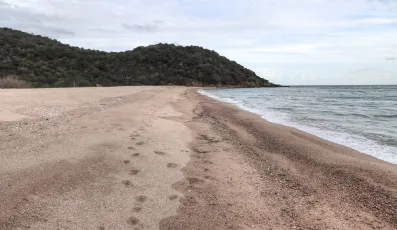 Janvier s'éloigne (January moves away)