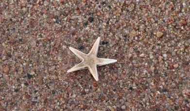 Perdue dans une autre galaxie