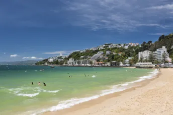 Wellington - Oriental Bay