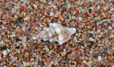 Appartement à louer 😊