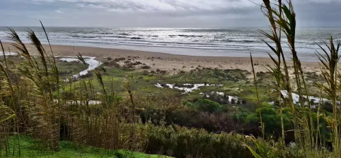 Conil de la Frontera, Spain