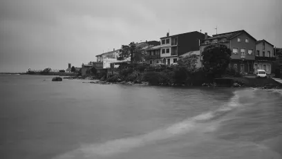 55079414174_244a364b4a_k