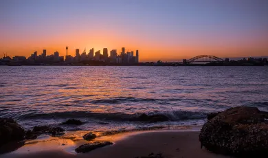 Wild Wild Life, Sydney