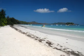 Anse Volbert, Praslin