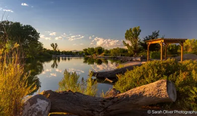 Morning Reflections at Tingley Beach