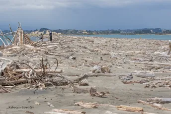 Driftwood all over Motueka Sandspit after the storms