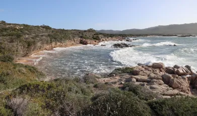 Deuxième lame (Second blade)