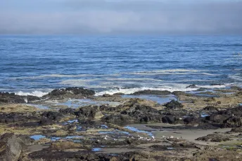 Fog Bank off Yachats Shoreline