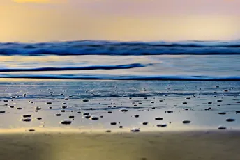 A Wave is Rolling in