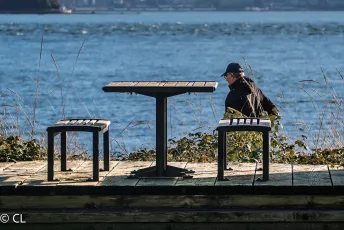 Get Back to the Table