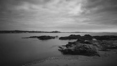 55106529552_39f0c7b7c2_k