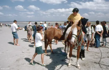 Prêts pour le retour