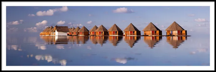 Reflections (Explored)