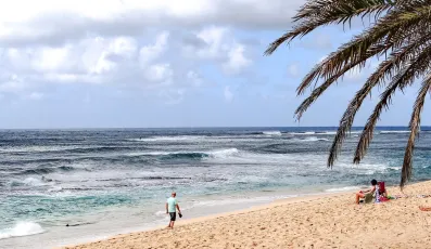 Beach on Oahu's East Shore