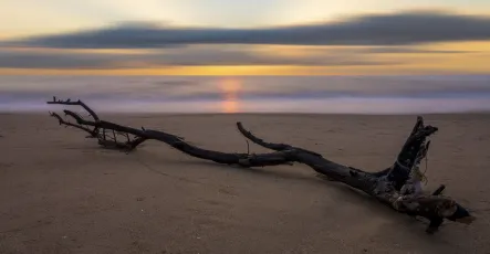 Minimalist seascape photography