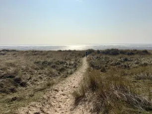 Path to the beach