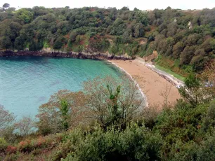 Fermain Bay