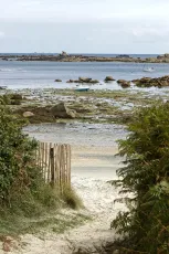 Way to the beach - Carantec