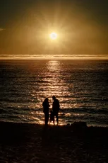 Silhouettes