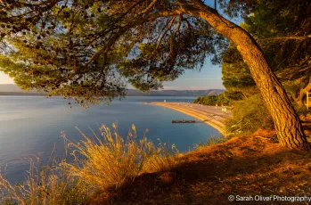 Sunlit Shores of Zlatni Rat
