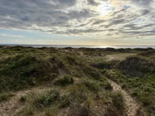 To The Beach