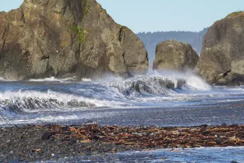 The Wave