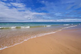 Conche des Baleines