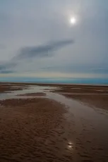 IMG_2450