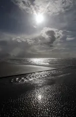 Mer du Nord - Plage - Mai 2026 - 2026-05-14 17-35-14- 3384 - m s