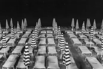 Striped Silence