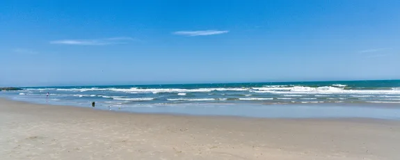 By the Sea