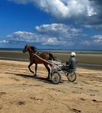 Walk on the beach