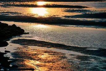 All that glitters is not gold