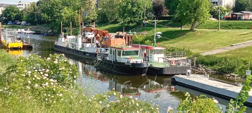 Heute Morgen Am Neudorfer Werder...