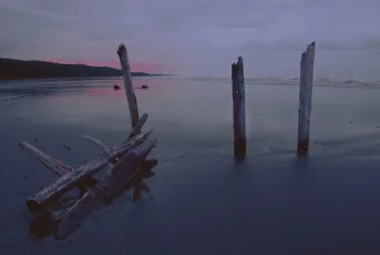 Wet Low Tide Sunrise. Taholah, WA.