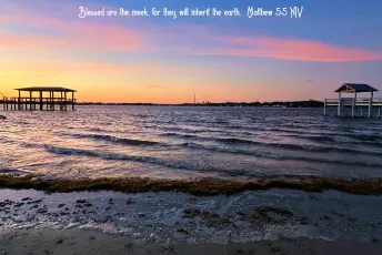 Fulton Landing⎥Jacksonville, FL