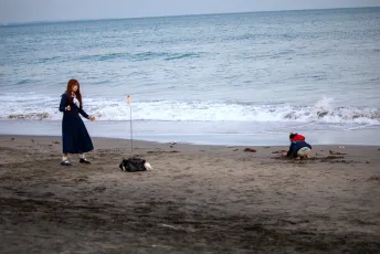 Dancing on the Sand