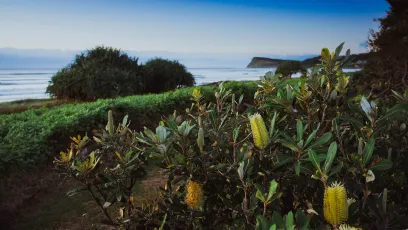 The sunrises over Lennox Head in NSW
