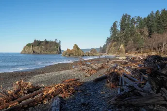 Driftwood