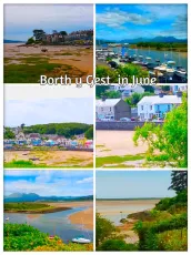 BORTH Y GEST