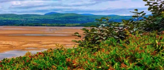 BORTH Y GEST