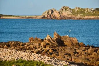 Le Diben, Plougasnou