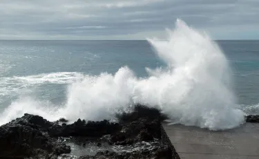 Waves