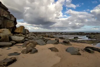 seashore wanders