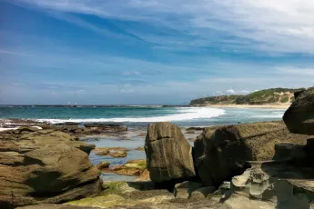 peeking around the rocks