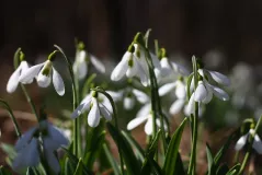 Hello Spring