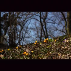 Watch the ground for signs of life